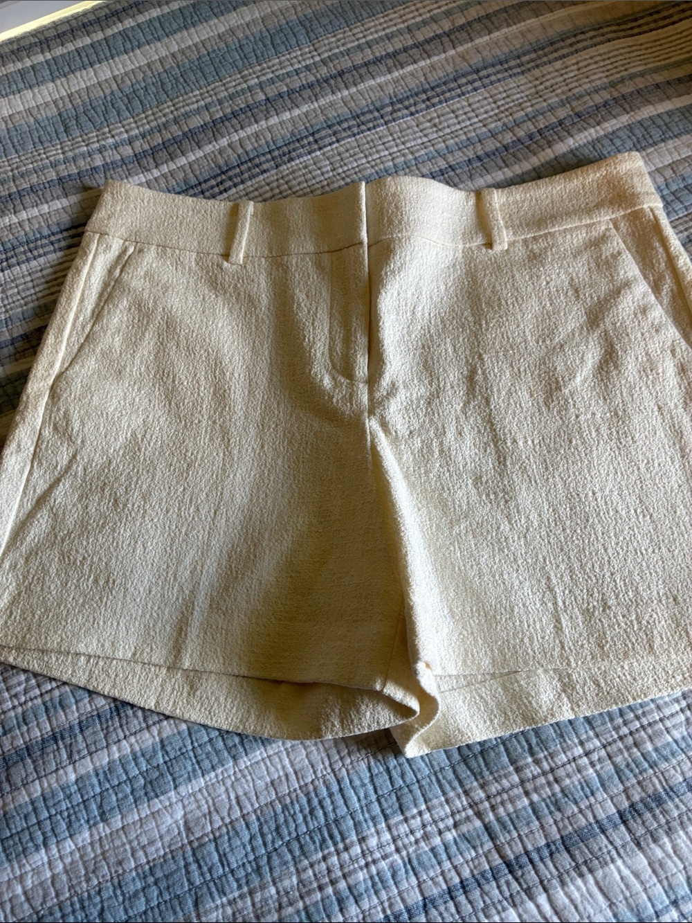 Ann Taylor Cream Textured Tailored Shorts
